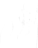 2216334019 3