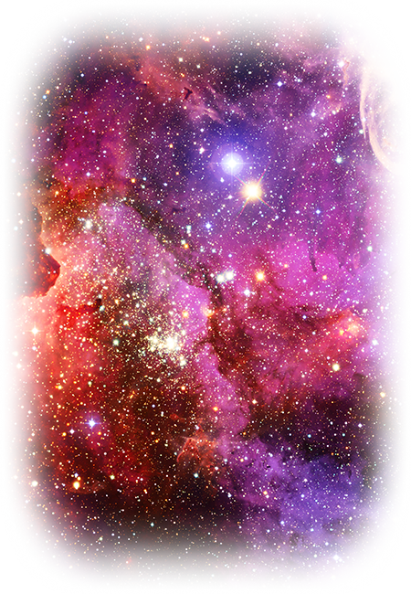 Shutterstock 2011894439