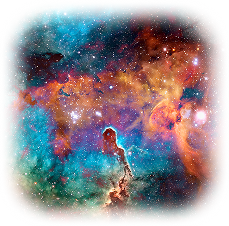 Shutterstock 781457584