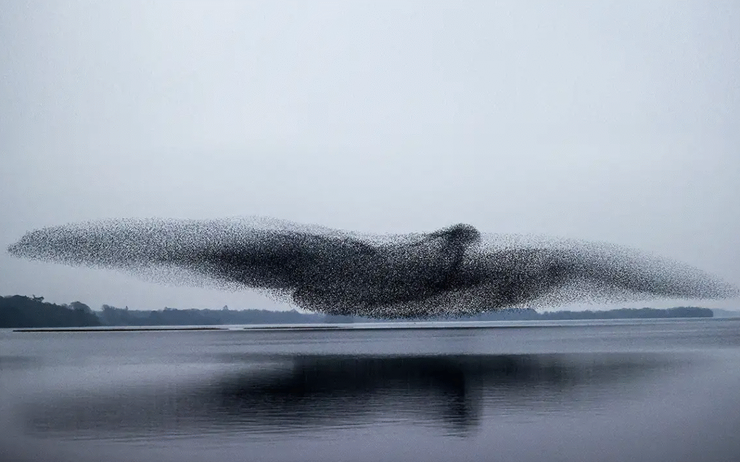Existential Meaning: Creating Your Story