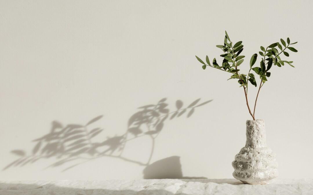 A small plant in a stone holder casts a shadow against a pale wall.